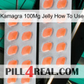 Kamagra 100Mg Jelly How To Use 27